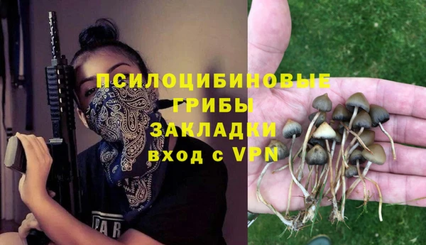 каннабис Аркадак