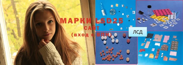 СК Покачи